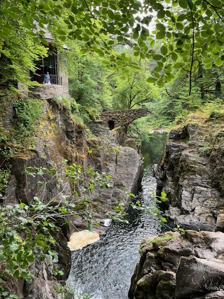 The Hermitage Viewpoint